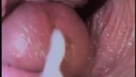 ������ ������ ������ ���������� ���������� ������